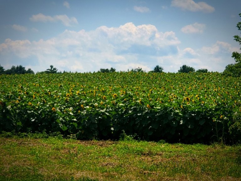 116810826 627677124543329 7172720827195112769 o 768x576