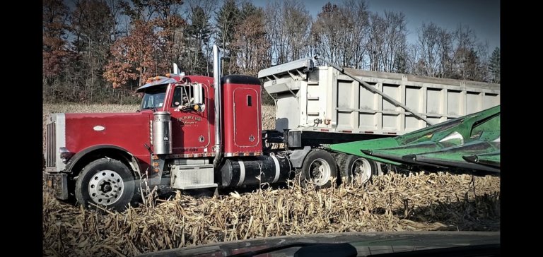 122876216 681685609142480 4488927311575559440 o 768x364