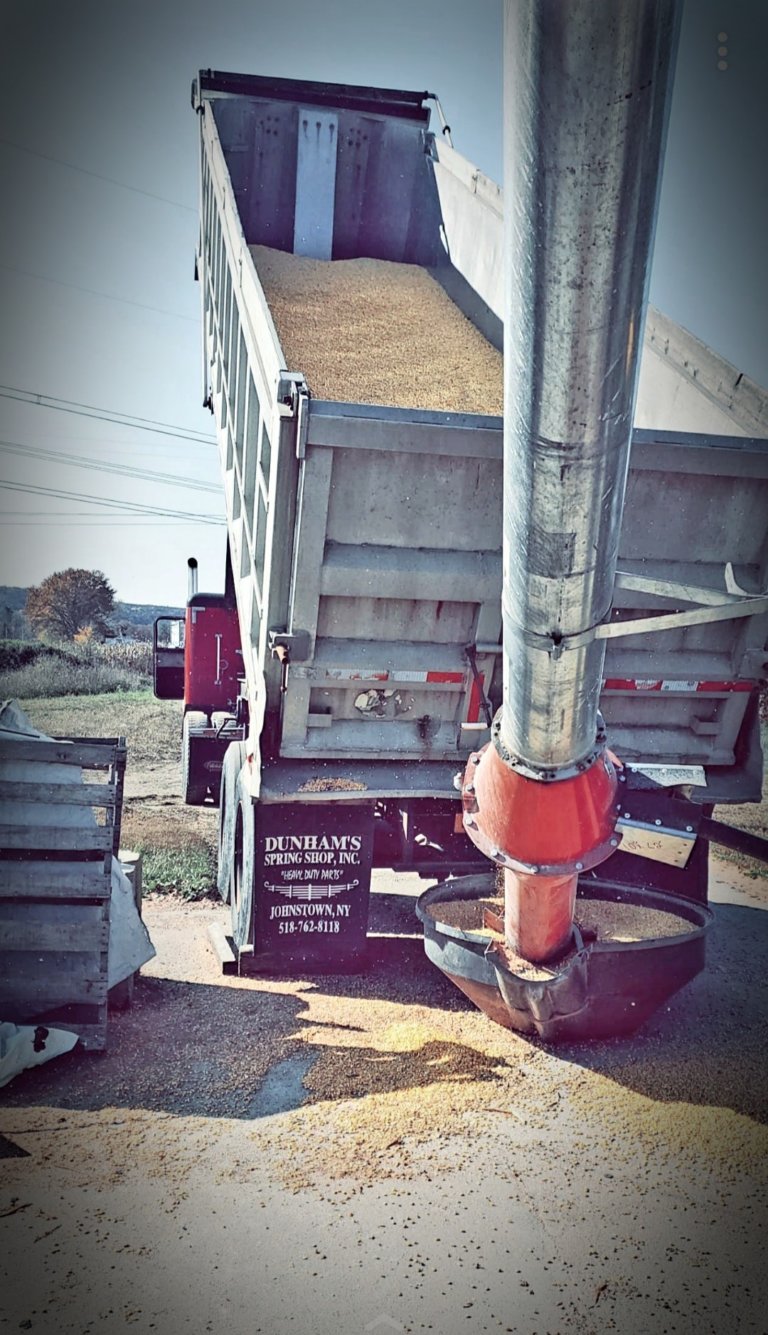 122922365 681685689142472 5408827452340341871 o 768x1335