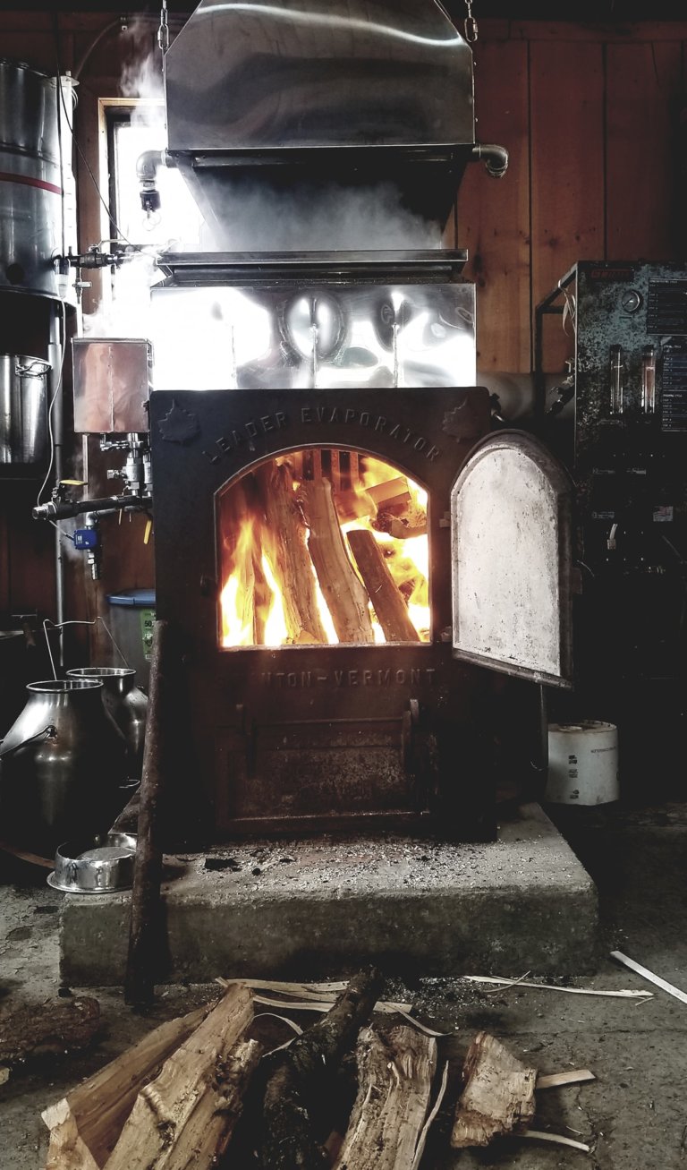 54368115 333530497291328 3476647482035798016 o 768x1307