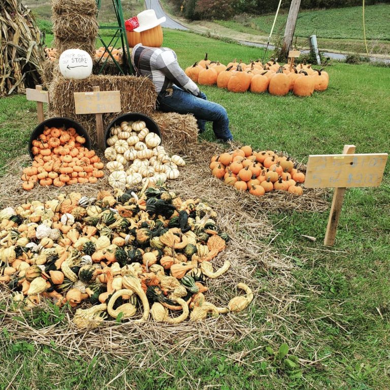 71859351 431107187533658 7648015897113657344 o 768x768