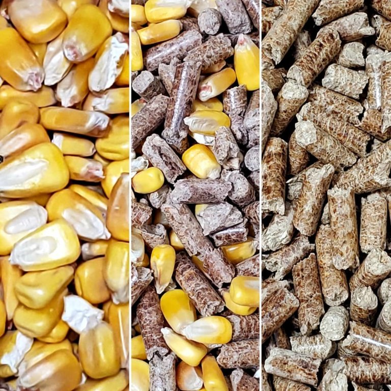 76277141 462003227777387 1013501853951852544 o 768x768