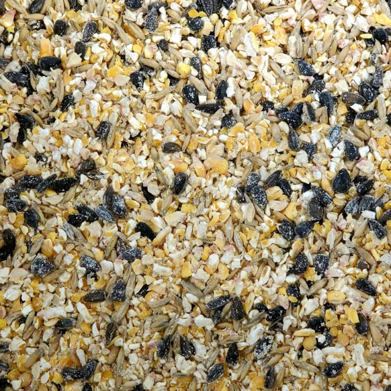 chicken feed 768x769