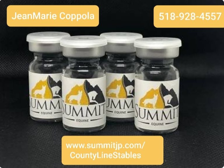 inbound4882182068307729883 768x576