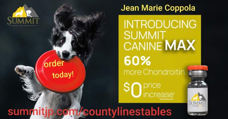 inbound844167553306406086 768x402