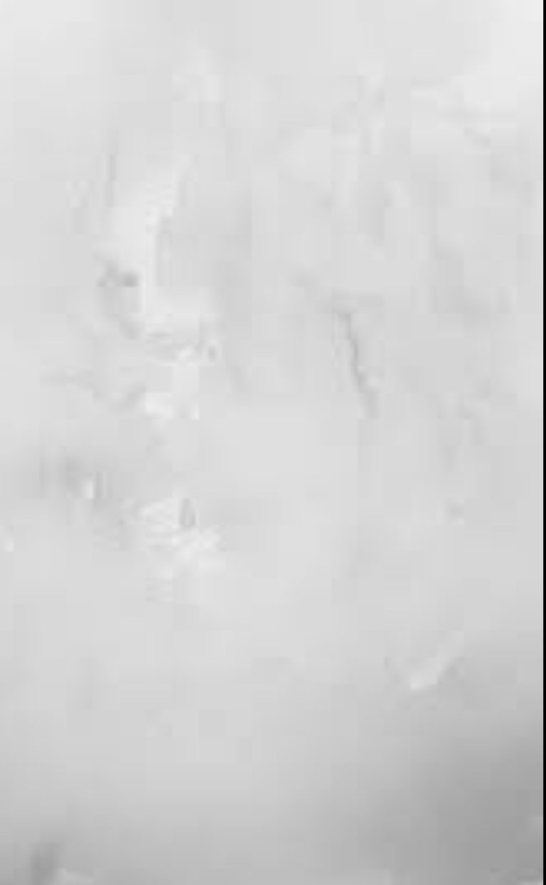 7BD788B8 B802 4168 8F38 E649C19FAD3A 768x1245