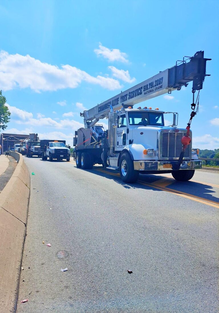 226C6342 5D16 40BA 8AE1 C974840F0890 768x1094