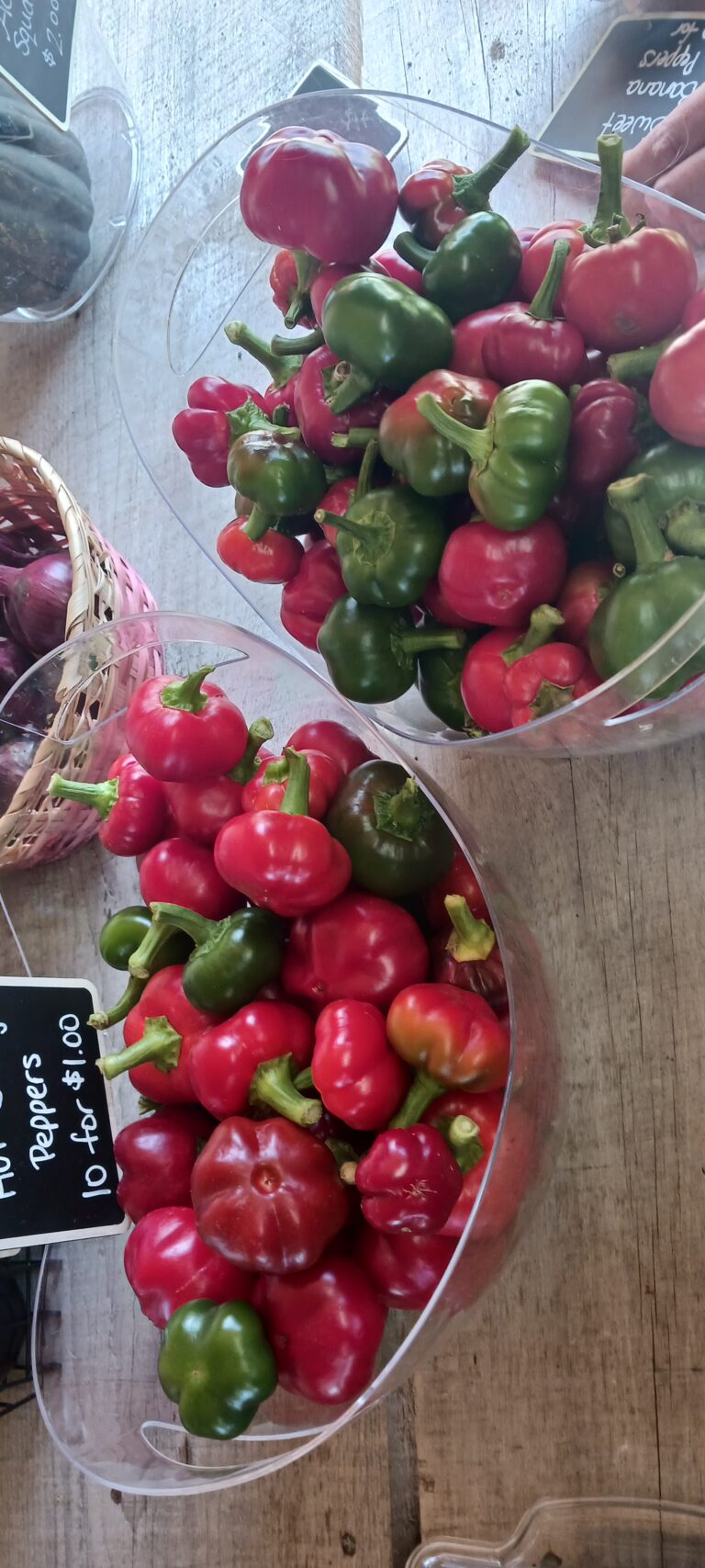 inbound130049245394925128 768x1707