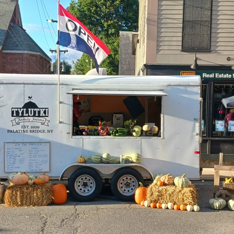 inbound7841040427054476137 768x768