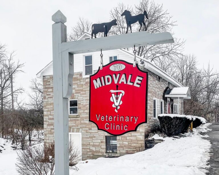 328127103 2922316827912775 110126969937691207 n 768x614