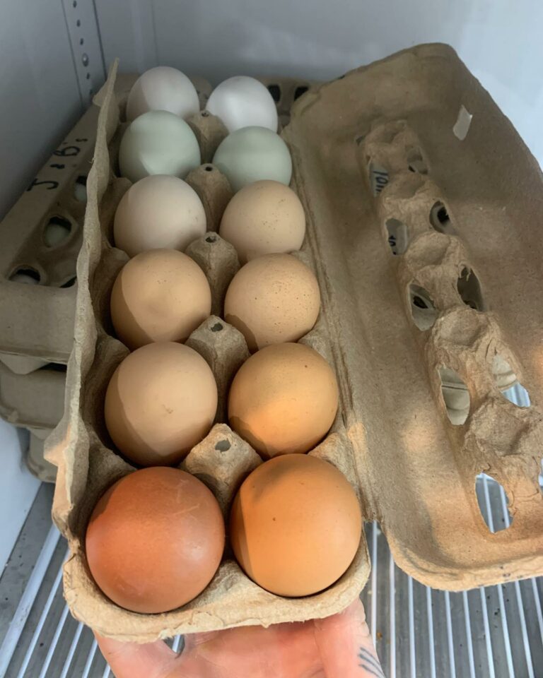 Eggs 768x960