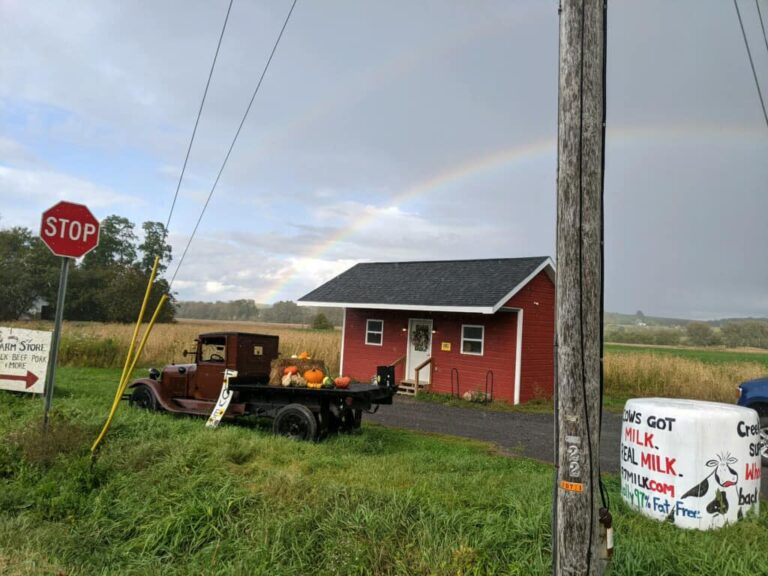 Rainbow with store 768x576