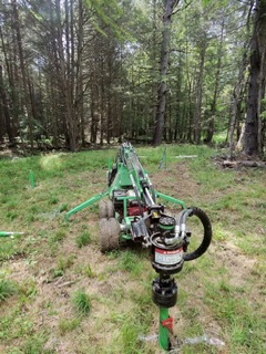 od photo 2936 singular display fullPicture