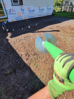 photo 3124 singular display fullPicture